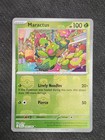 Maractus