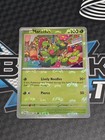 Maractus