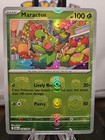 Maractus