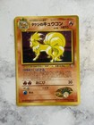 Brock's Ninetales