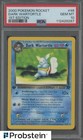 Dark Wartortle