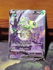 Celebi V