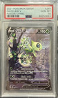 Celebi V
