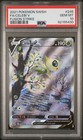 Celebi V