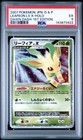 Leafeon LV.X