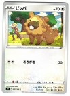 Bidoof