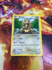 Bidoof
