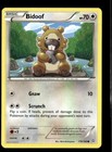 Bidoof