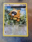 Bidoof