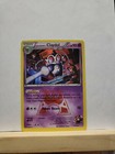 Team Magma's Claydol