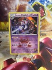 Team Magma's Claydol