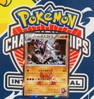 Team Magma's Aggron