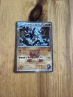 Team Magma's Aggron