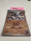 Team Magma's Aggron