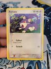 Rattata
