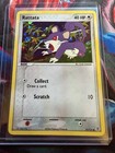 Rattata