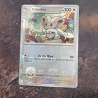 Cinccino