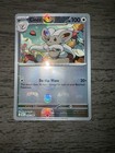 Cinccino