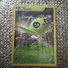 Celebi