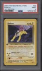 Raikou