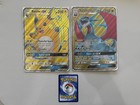 Raichu GX