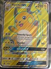 Raichu GX