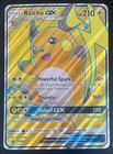 Raichu GX