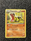 Hippowdon