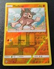 Mudbray