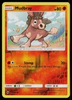 Mudbray
