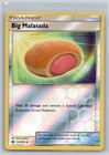 Big Malasada