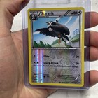 Staravia