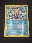 Walrein