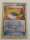 Sacred Ash