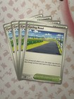 Cycling Road