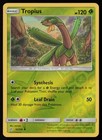 Tropius