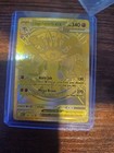 Mega Lucario ex