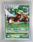 Torterra LV.X Tin