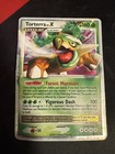 Torterra LV.X Tin