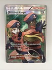Pokemon Ranger