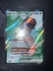 Orthworm ex