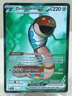 Orthworm ex