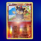 Litleo