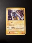Raikou