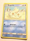 Bergmite