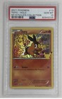 Tepig