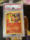Tepig