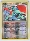 Salamence