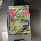 Iron Leaves Ex
