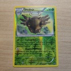 Shedinja